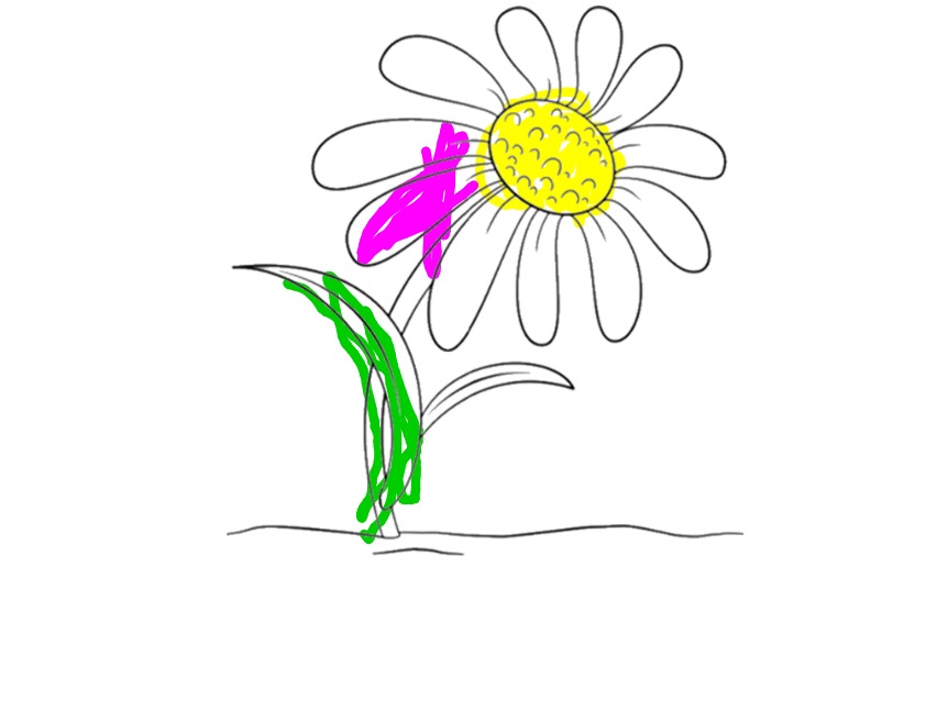 bojanke_1717071680.png