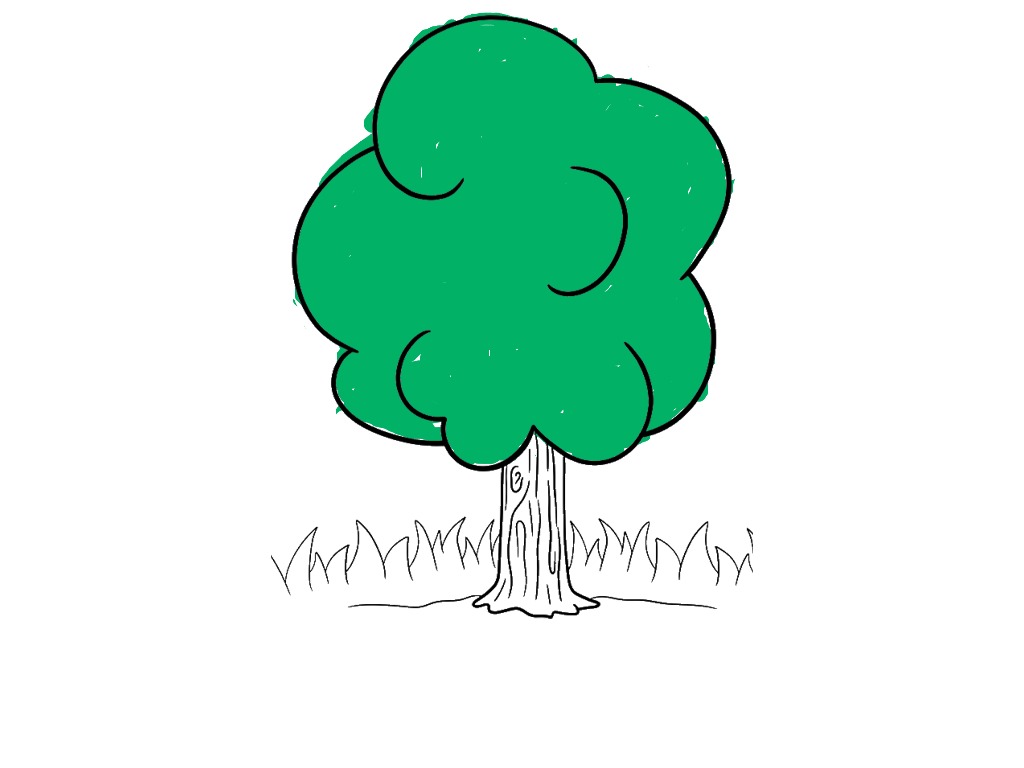 bojanke_1717159100.png
