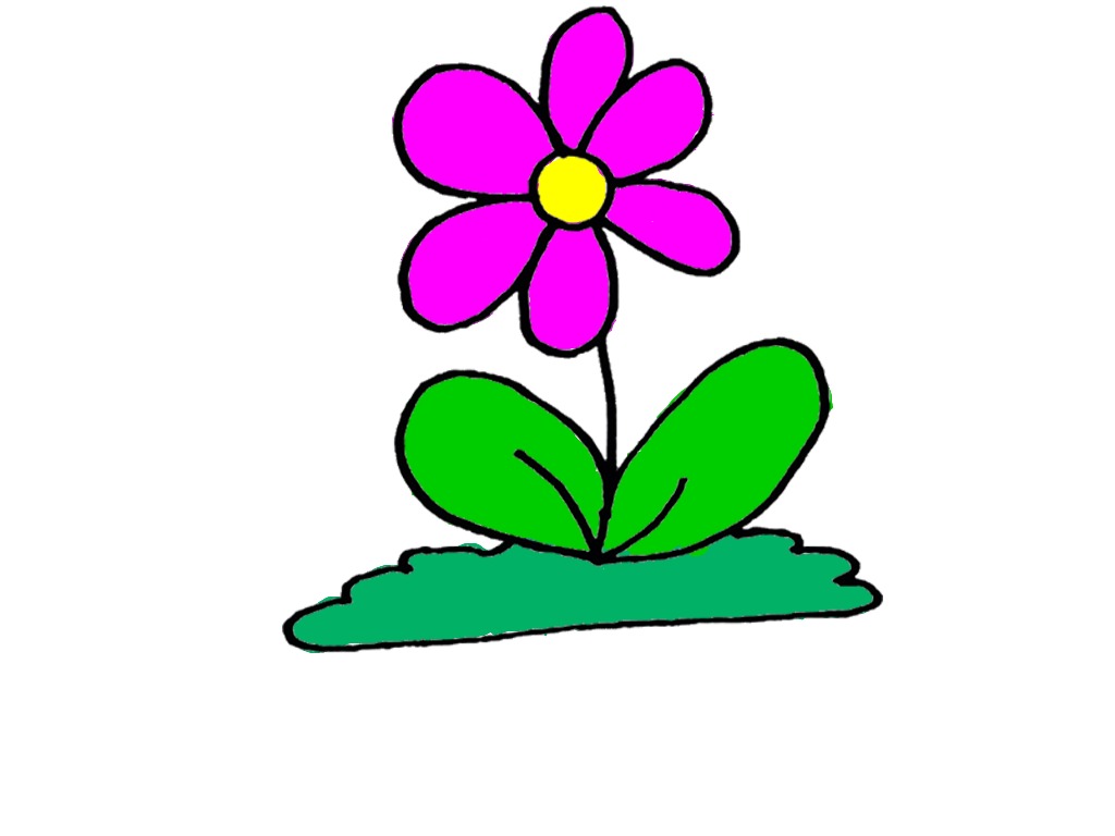 bojanke_1717230345.png