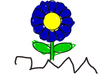 bojanke_1717231401.png