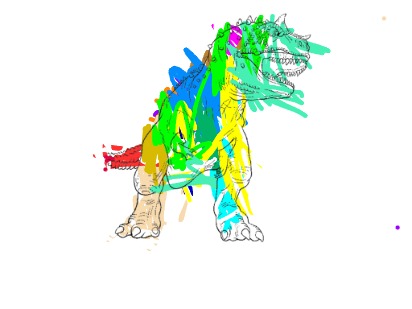 bojanke_1717234461.png