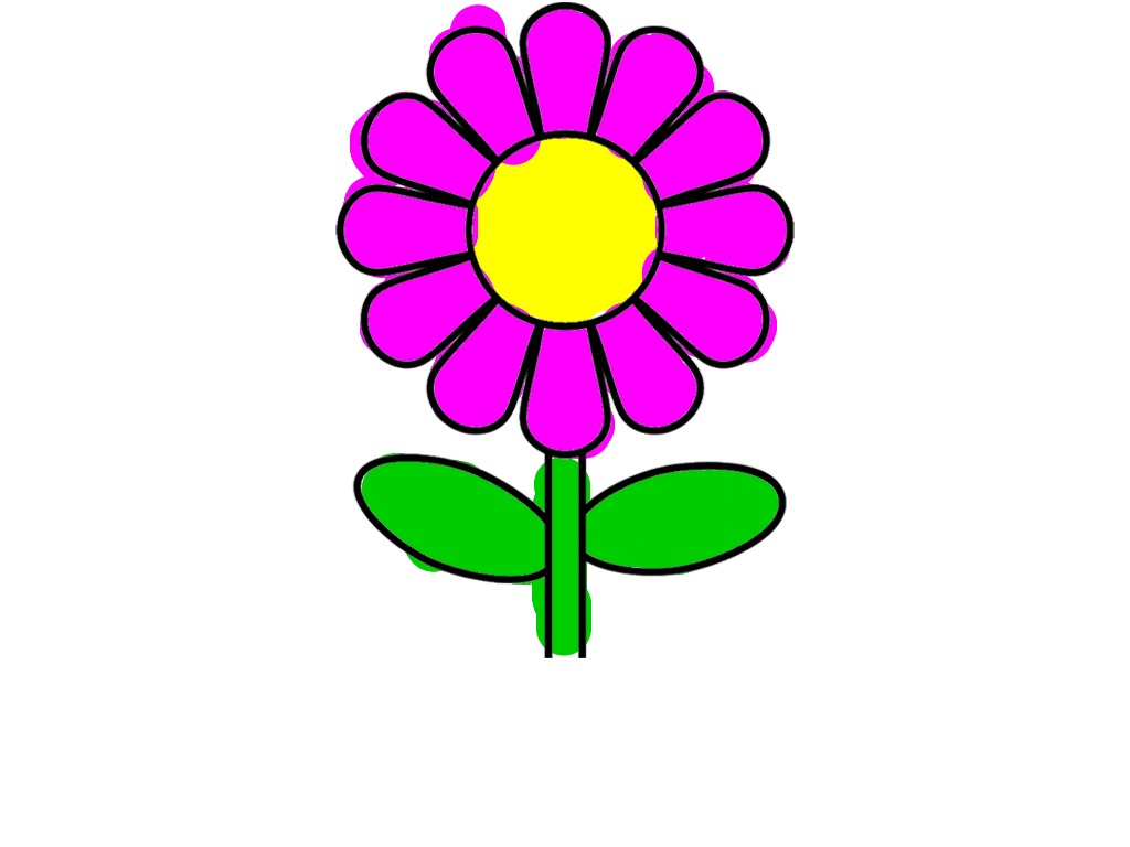 bojanke_1717406827.png