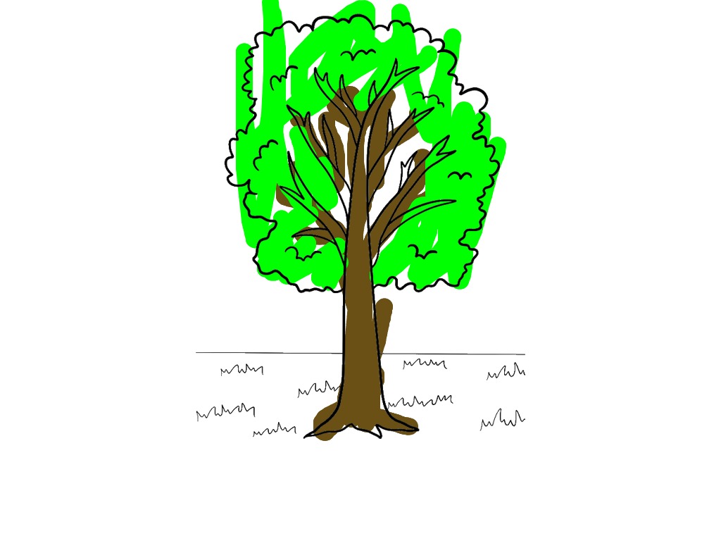 bojanke_1717440825.png