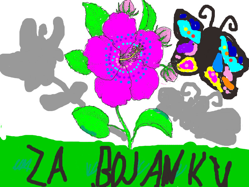 bojanke_1717576312.png