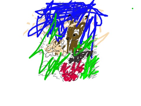 bojanke_1717577065.png