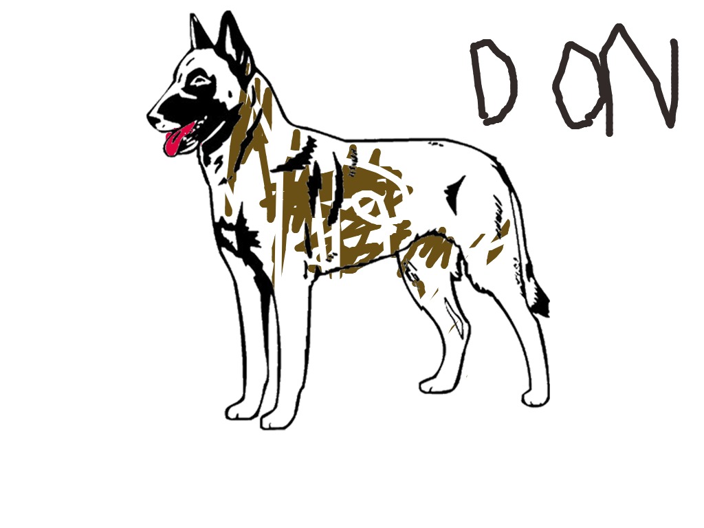 bojanke_1717584172.png
