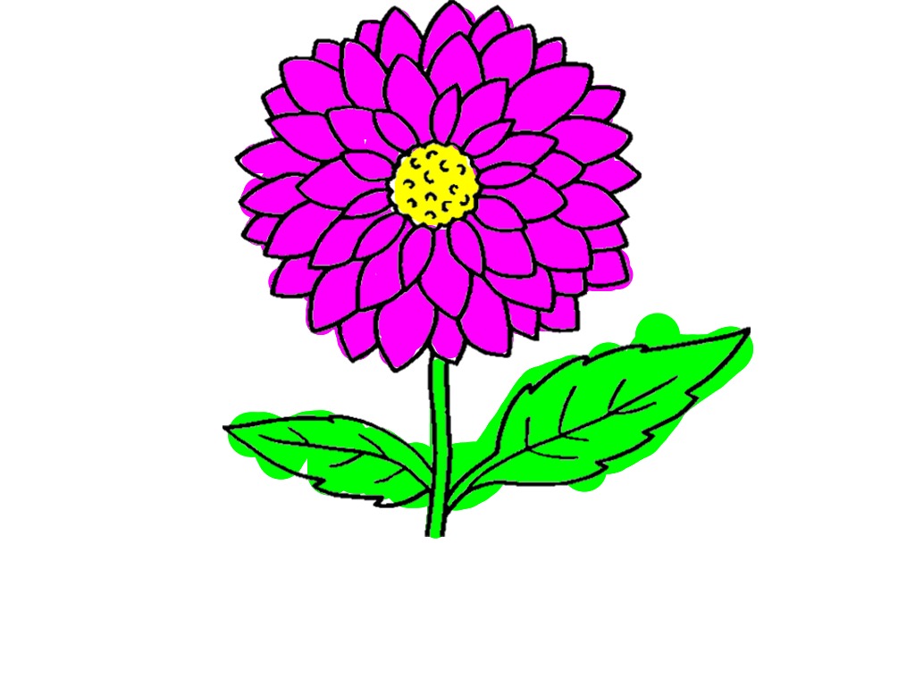 bojanke_1717830747.png