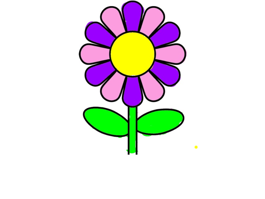 bojanke_1717849474.png