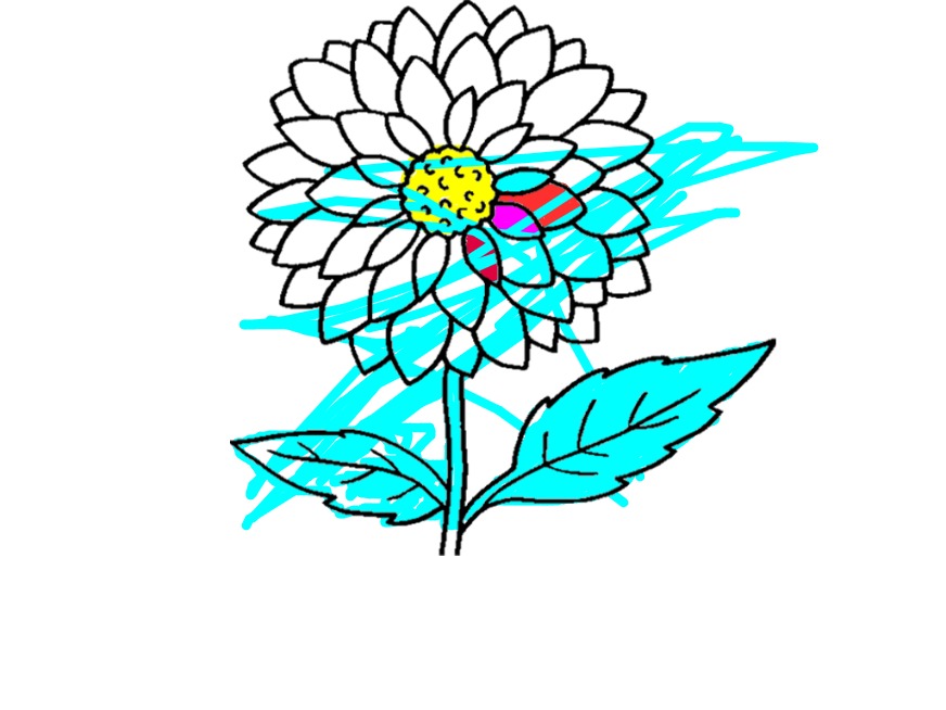 bojanke_1717866904.png