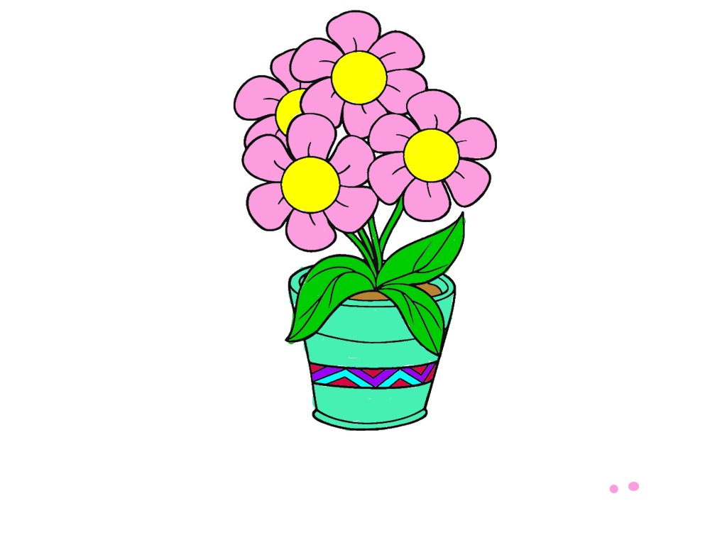 bojanke_1717925512.png
