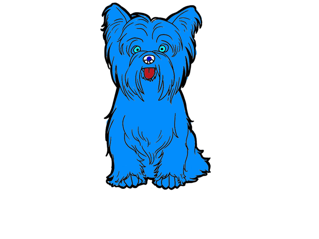 bojanke_1717959251.png