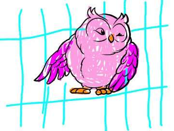 bojanke_1718006911.png