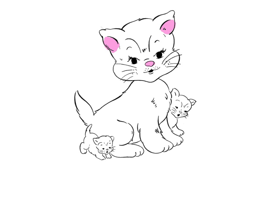 bojanke_1718010959.png