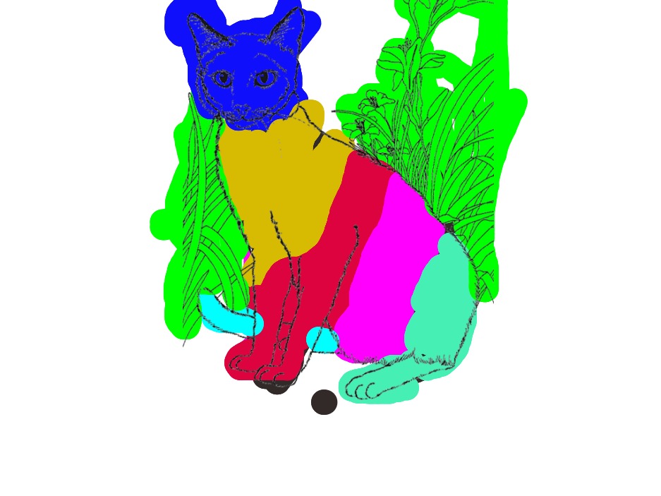 bojanke_1718214140.png