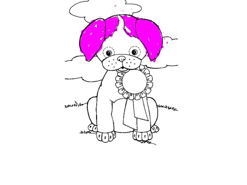 bojanke_1718265051.png