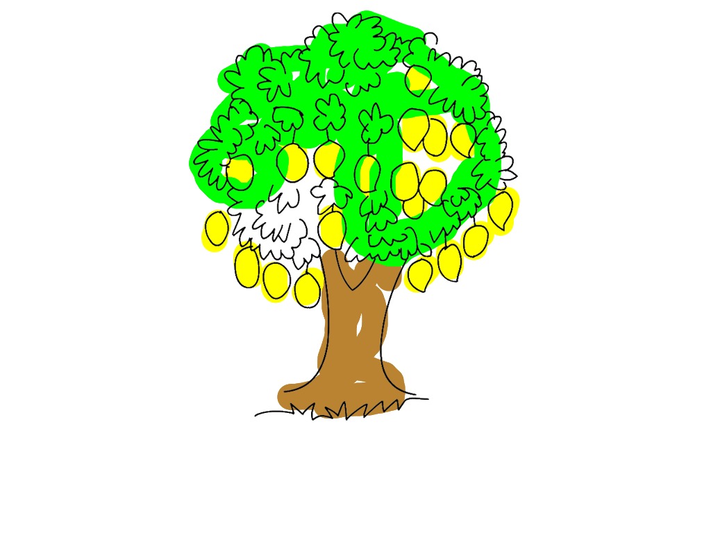 bojanke_1718459761.png