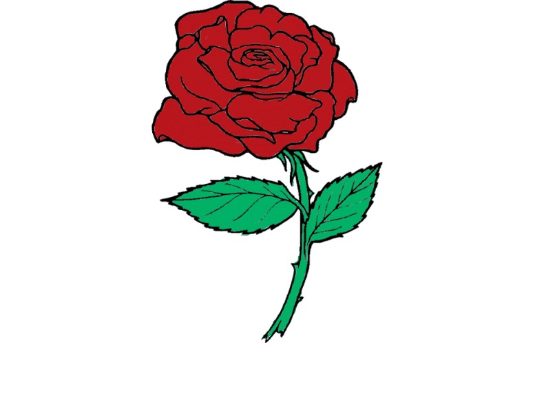 bojanke_1718479531.png