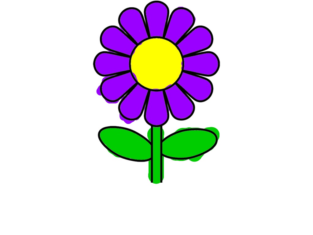 bojanke_1718525025.png