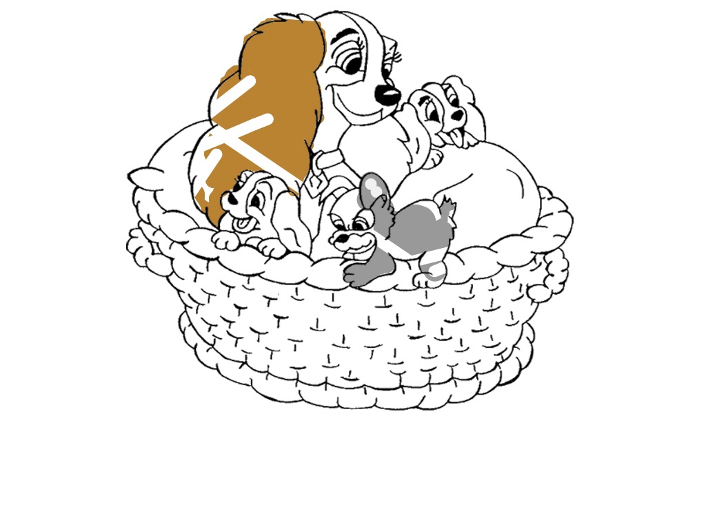 bojanke_1718545216.png