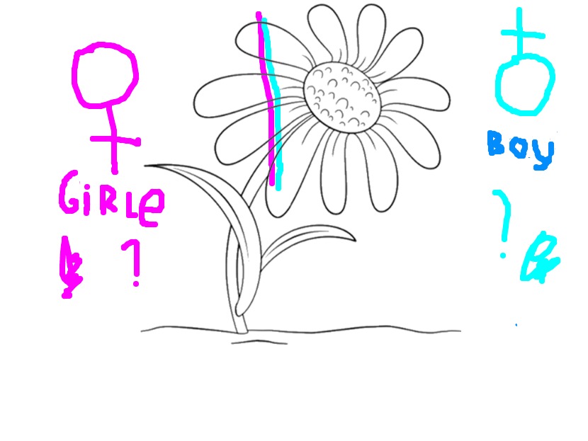 bojanke_1718601881.png