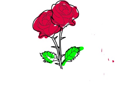 bojanke_1719237775.png
