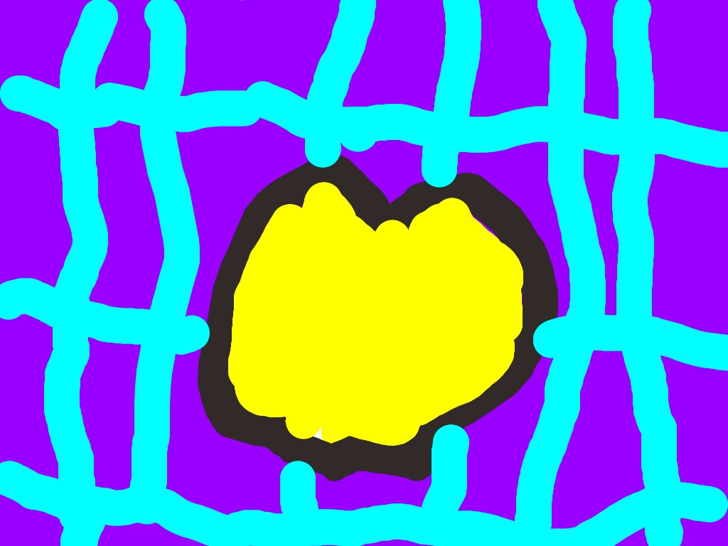 bojanke_1720020658.png