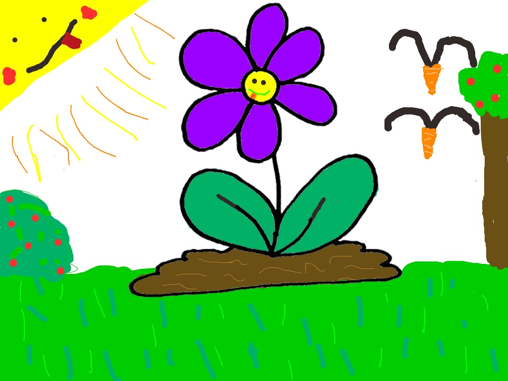 bojanke_1722602536.png