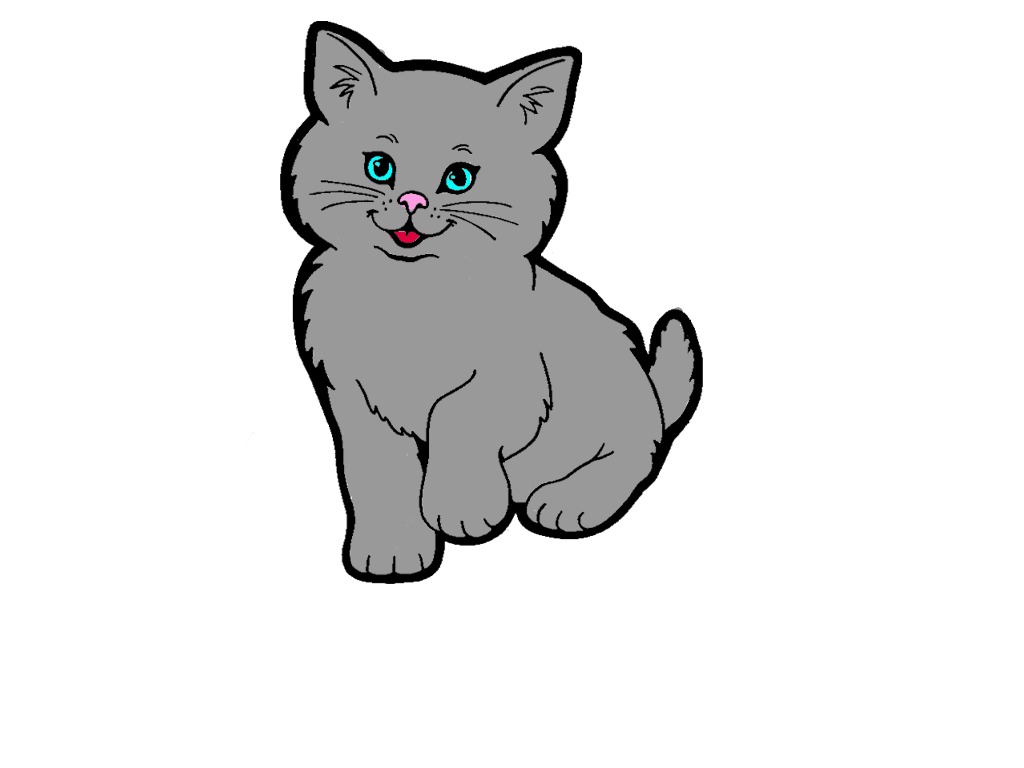 bojanke_1723909876.png