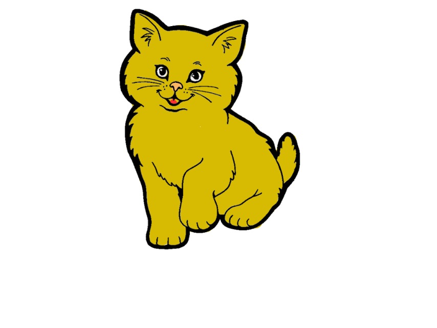 bojanke_1724395363.png