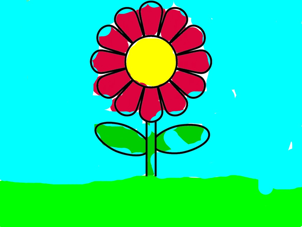 bojanke_1724515350.png