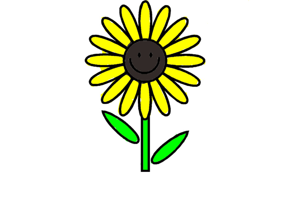 bojanke_1724947930.png