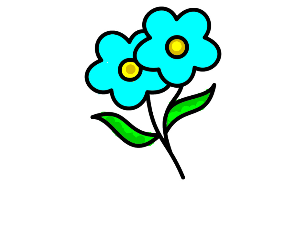 bojanke_1725018226.png