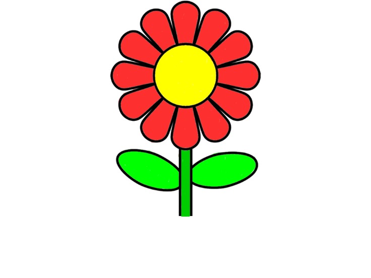 bojanke_1725182009.png