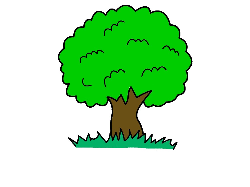 bojanke_1725649757.png