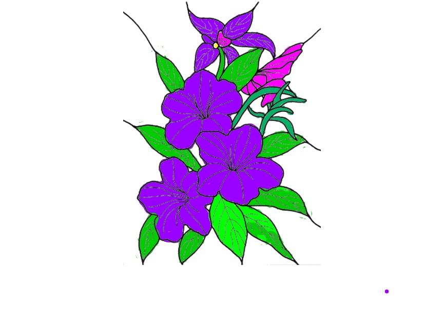 bojanke_1726437669.png