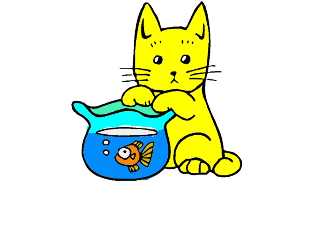 bojanke_1726819833.png