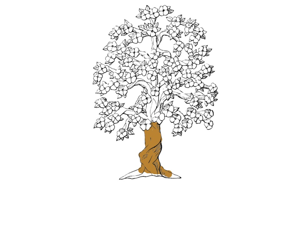bojanke_1726907223.png