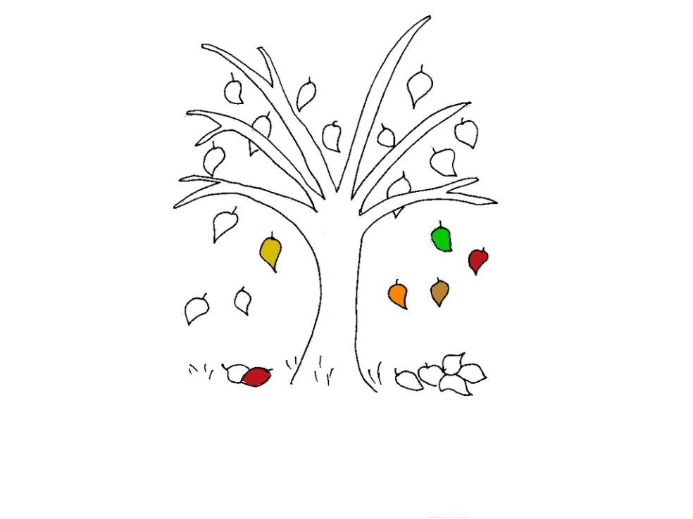 bojanke_1726938191.png