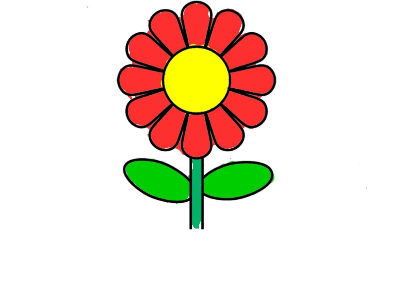 bojanke_1727004404.png