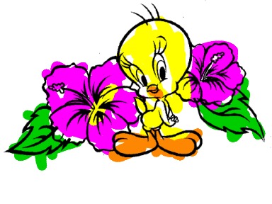 bojanke_1727028196.png