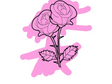 bojanke_1727117971.png