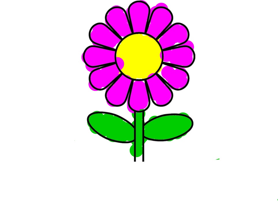 bojanke_1728150455.png