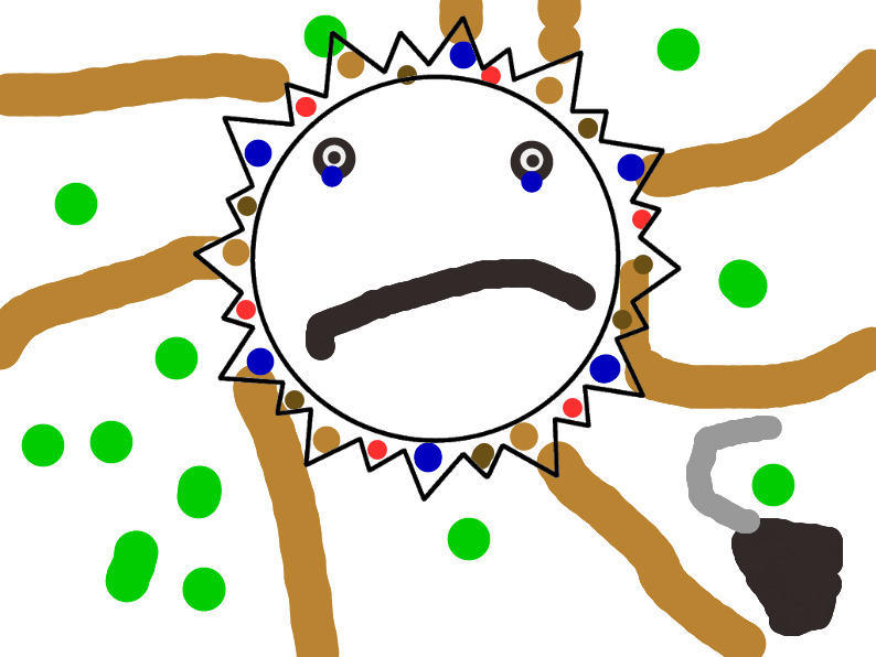 bojanke_1728209284.png