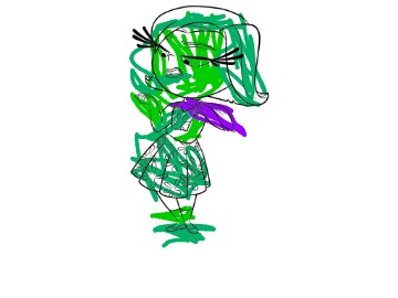 bojanke_1729266428.png