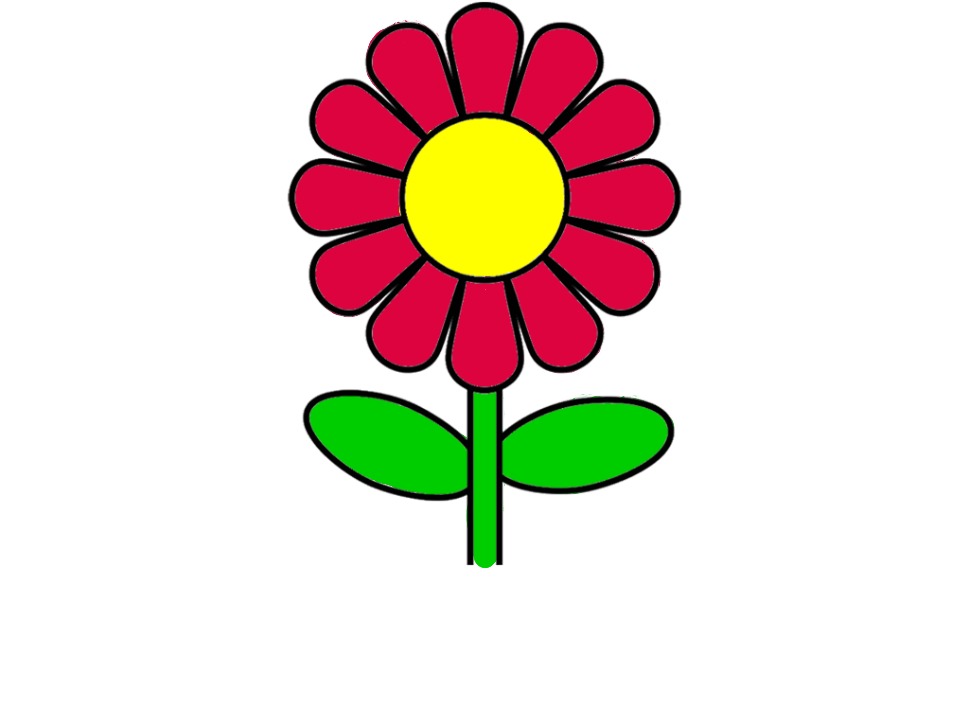 bojanke_1729407469.png