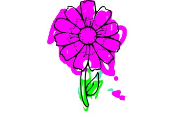 bojanke_1729509388.png