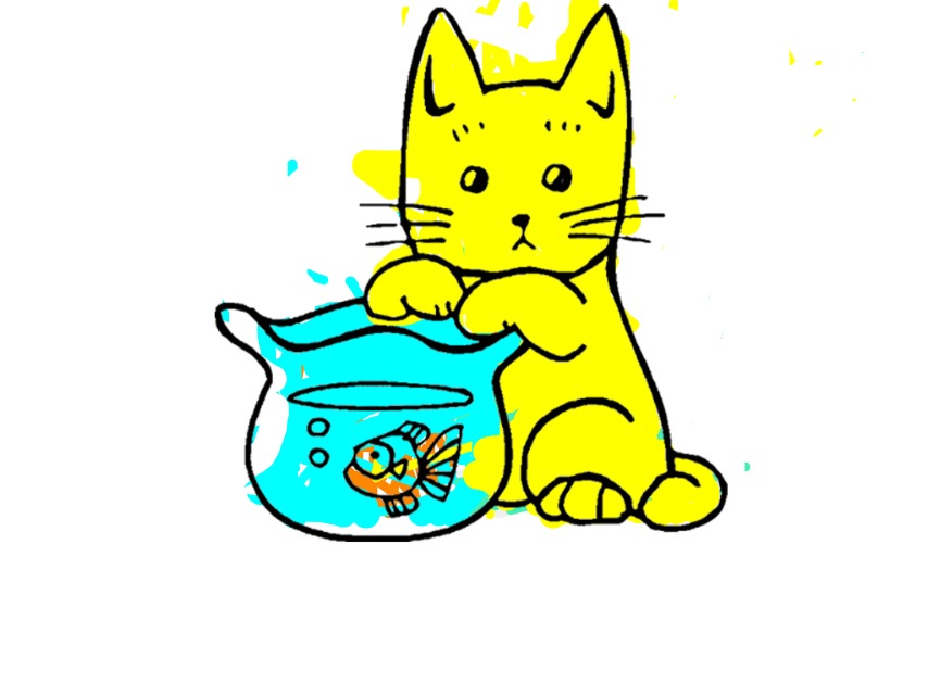 bojanke_1729671747.png