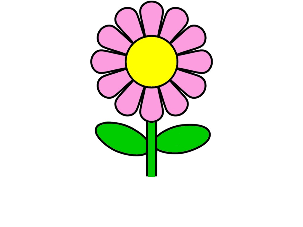 bojanke_1729684518.png