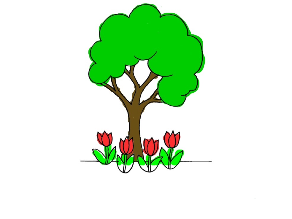 bojanke_1729856718.png