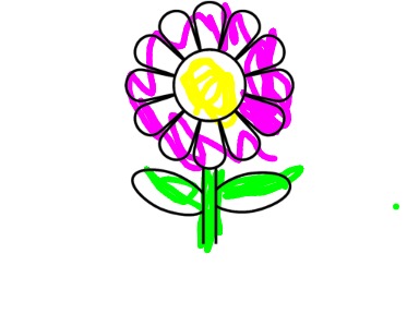 bojanke_1730130628.png